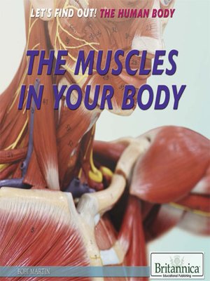 cover image of The Muscles in Your Body